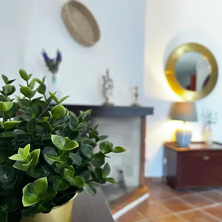 Arianna Куарту-Сант'Элена